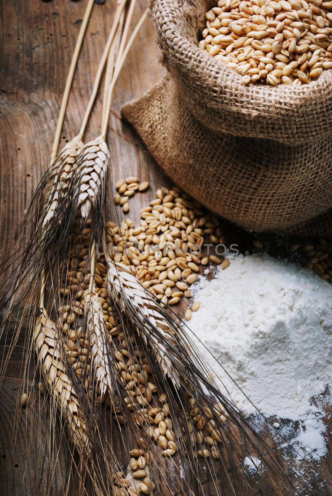 Vintage still life with organic flour, whole wheat grain in retro bag and wheat ears on rustic wooden table.