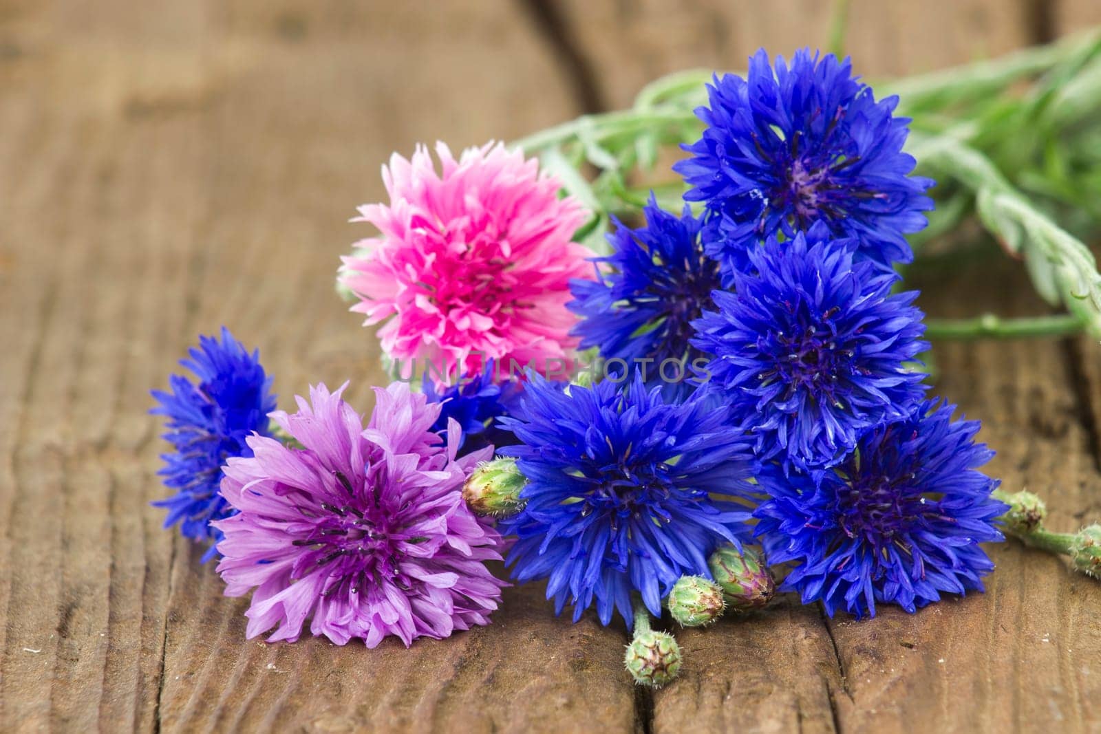 cornflowers on wooden background