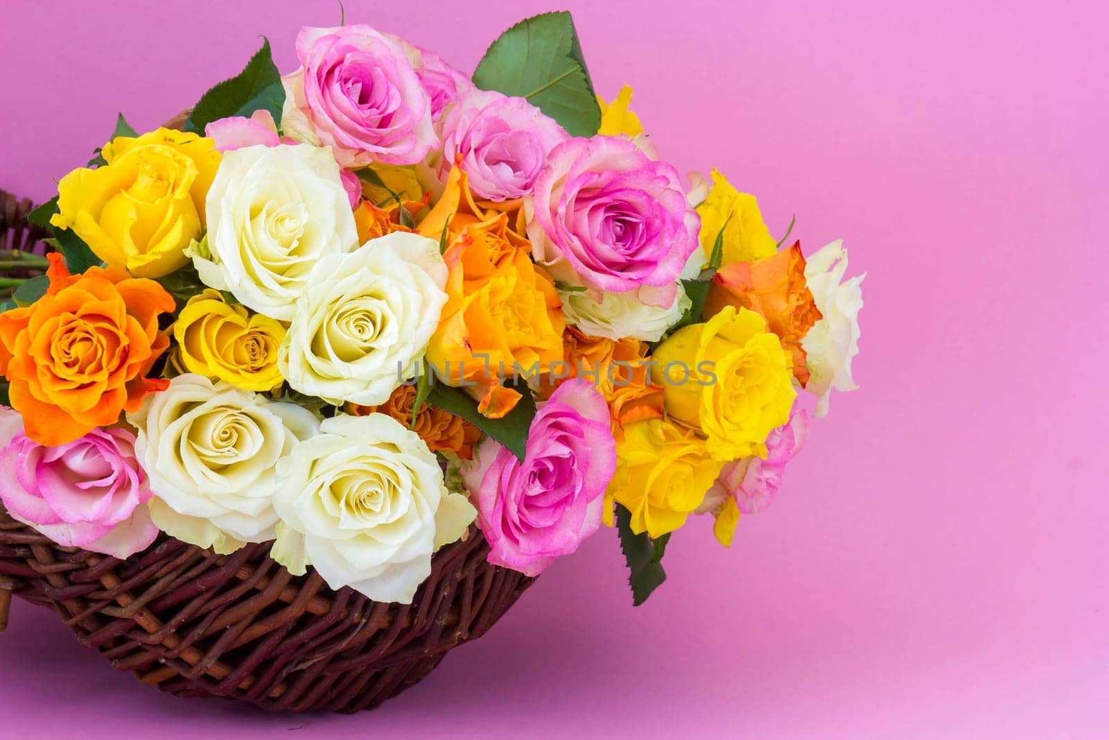 colorful roses in a basket - pink background