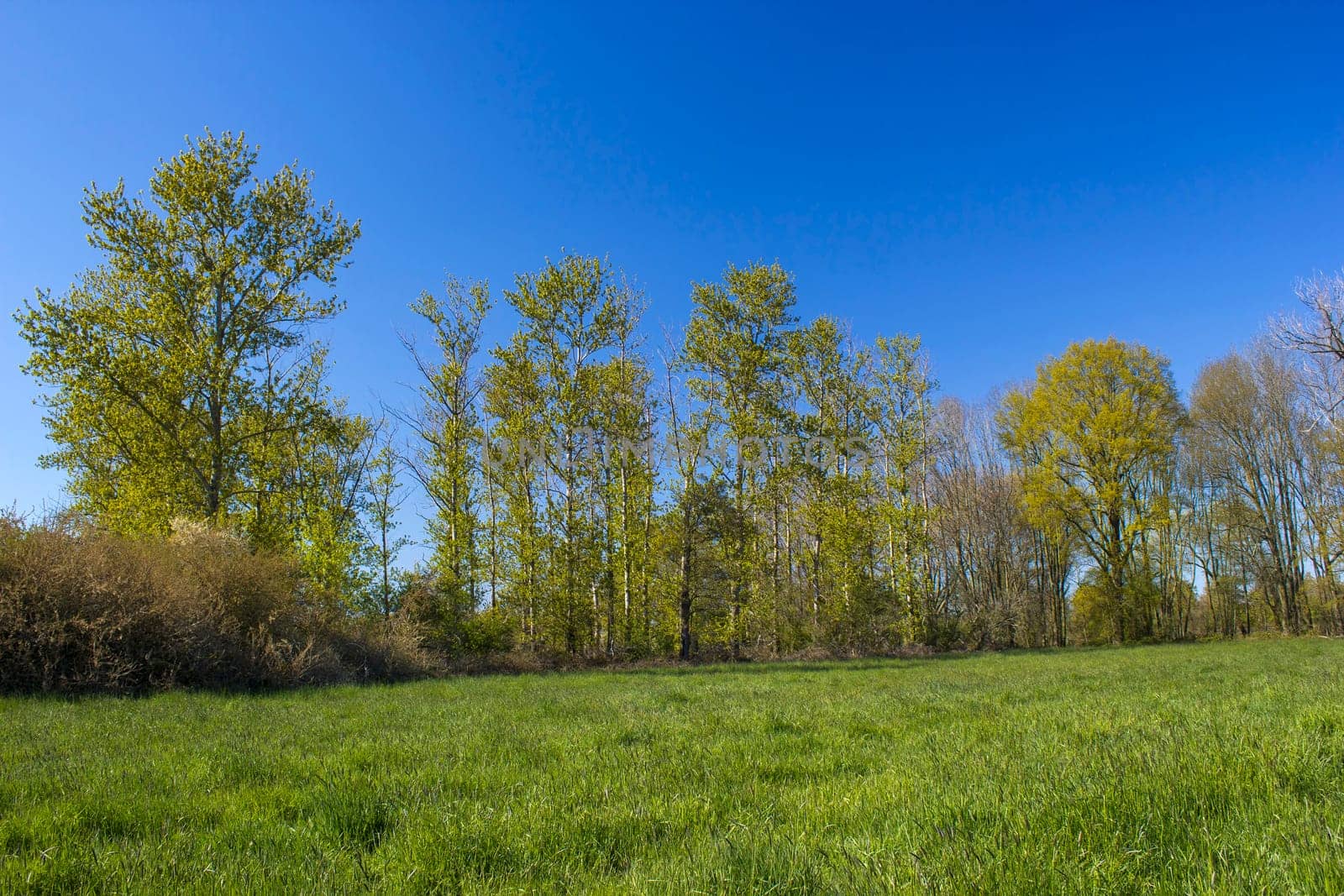German countryside landscape, Lower Rhine Region, Germany