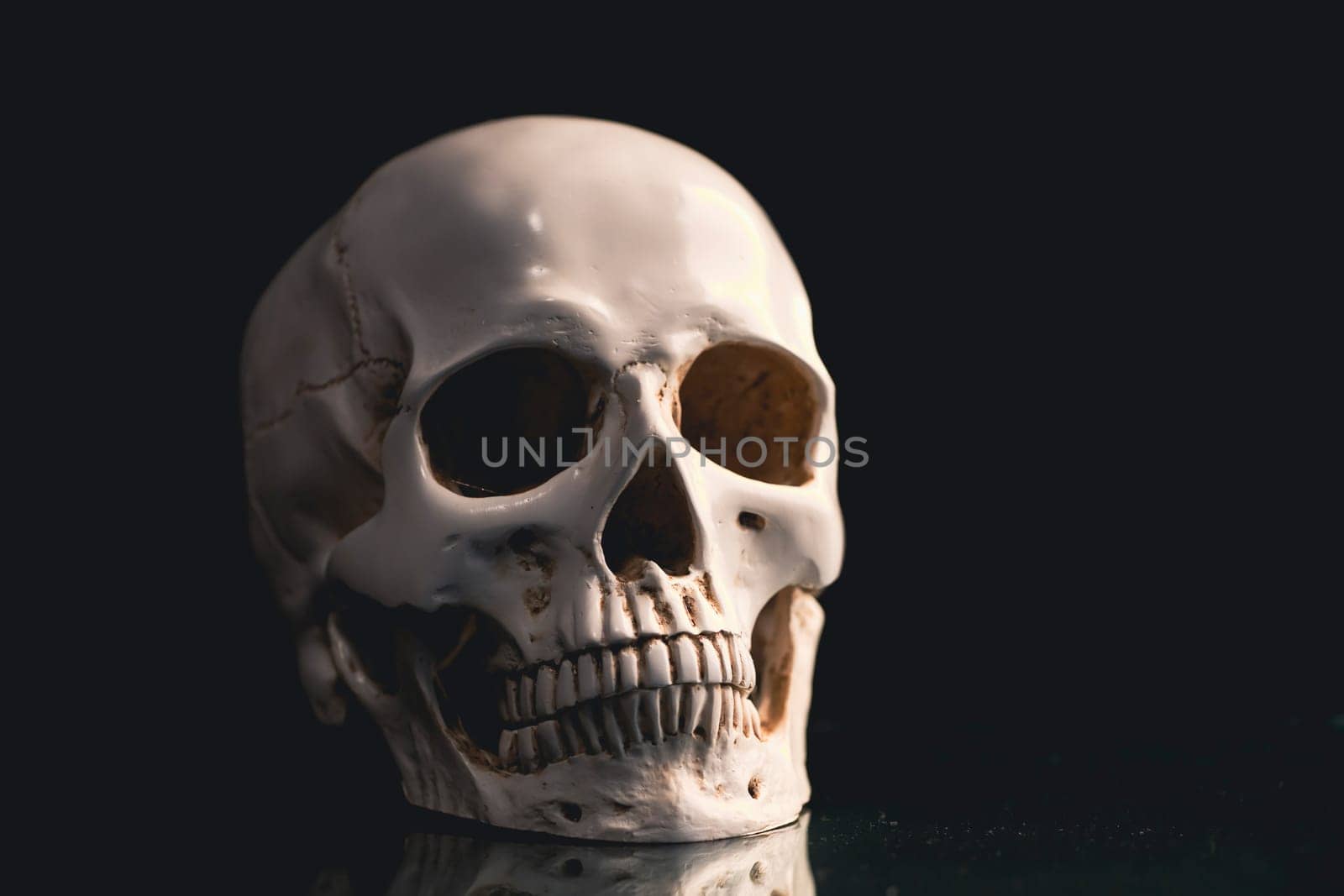 Spooky skull for Halloween. Horror wallpaper.
