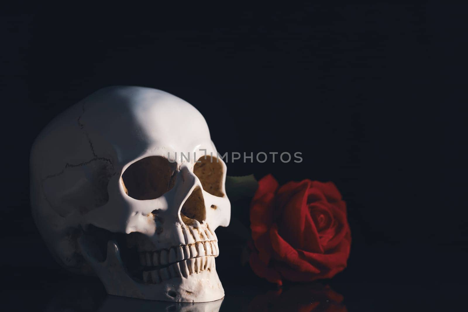 Skull with red rose. Calavera Catrina. Dia de los muertos. Day of The Dead.