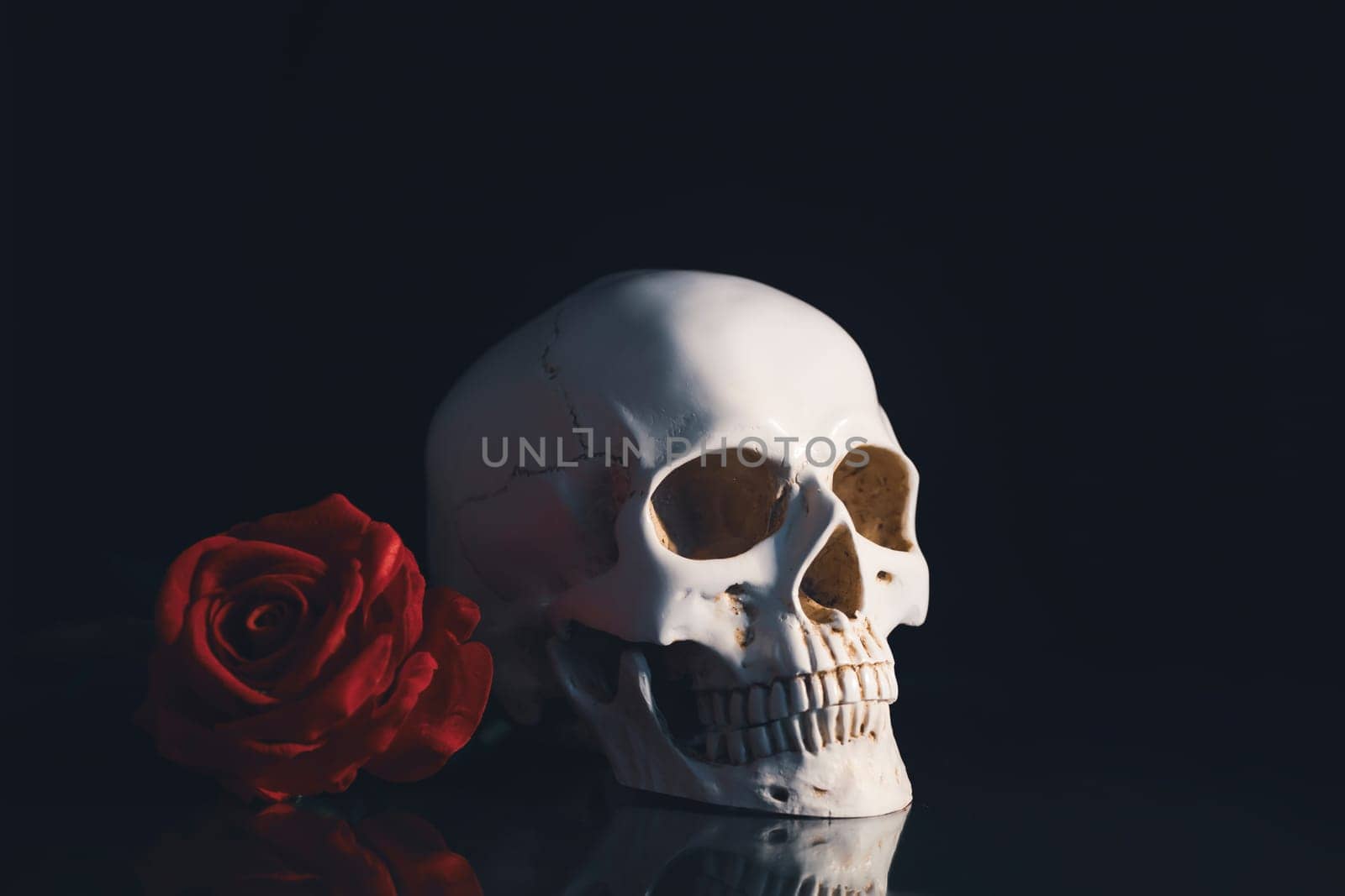 Skull with red rose. Calavera Catrina. Dia de los muertos. Day of The Dead.