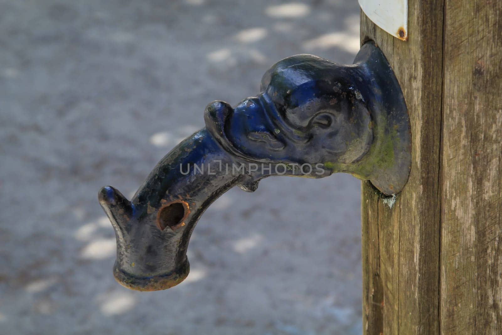 The cast iron spout of an old large swing pump.