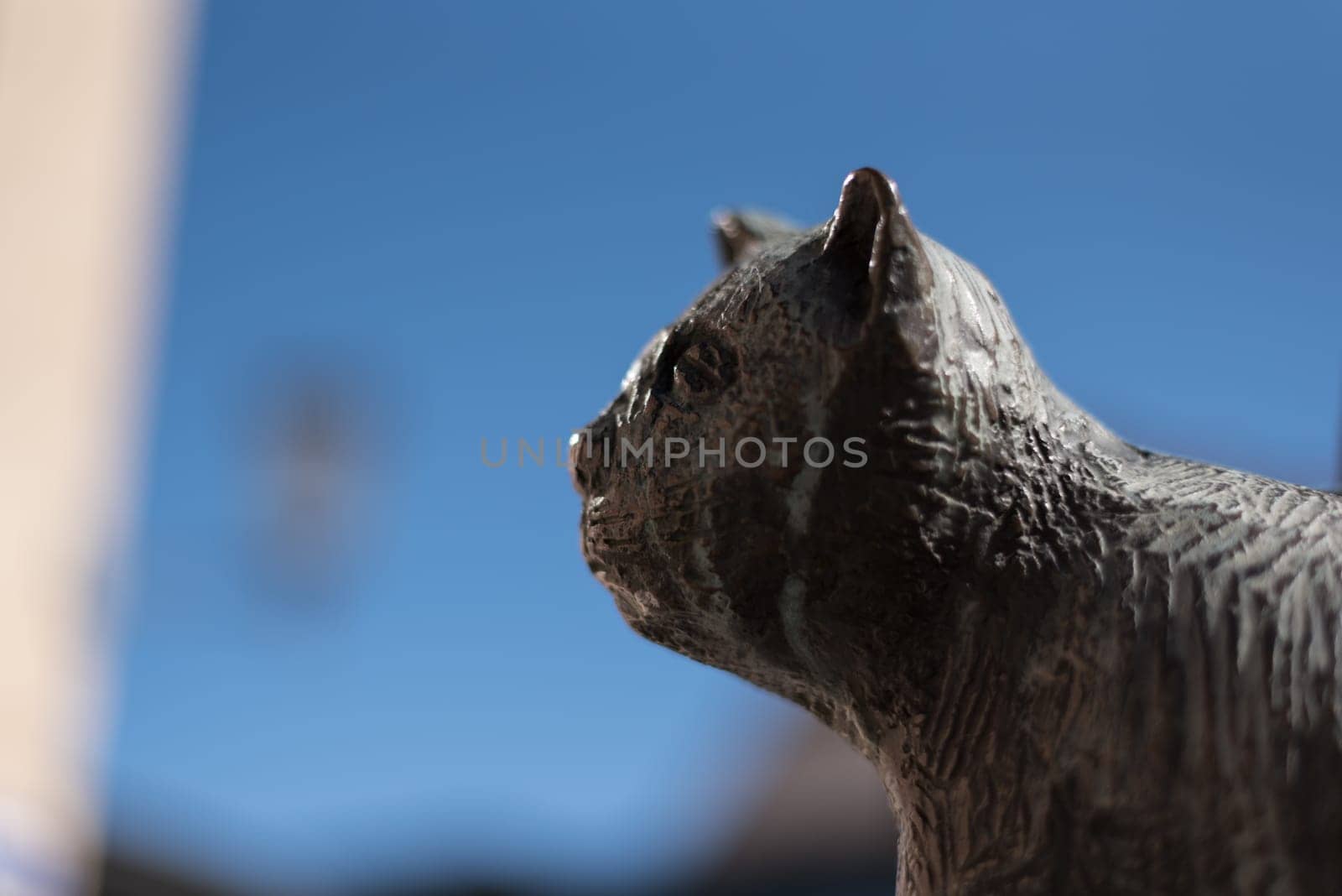 Statue of cat Murr at the statue of E.T.A. Hoffmann in Bamberg, Germany