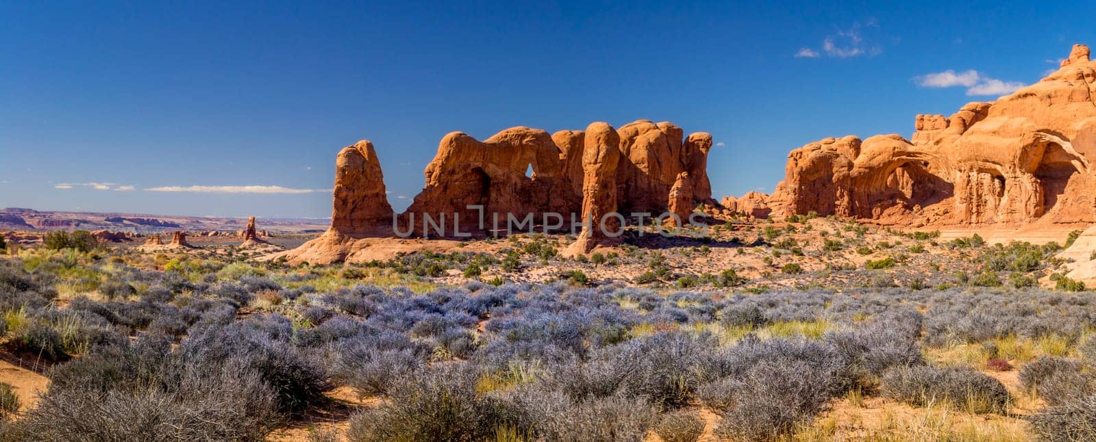 Colorful and vivid panorama landscape at Arches National Park in Utah, USA. Beauty in nature.