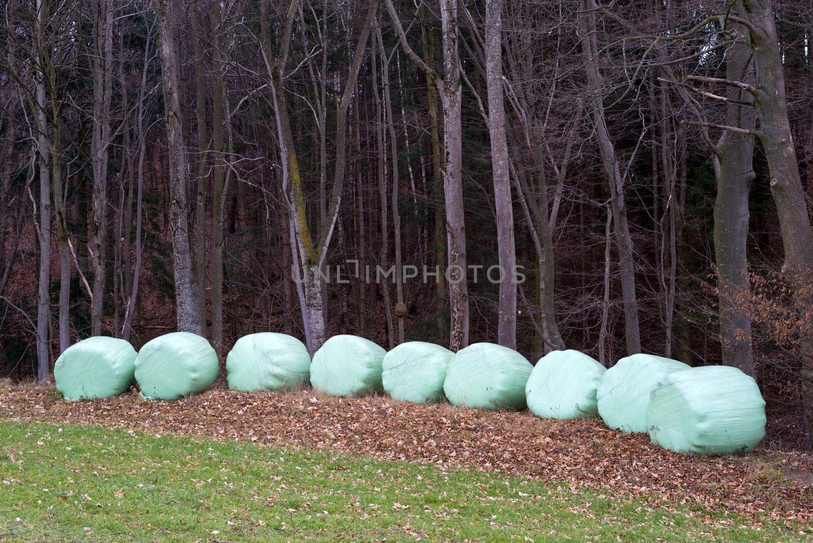 Hay bales by the edge of the woods