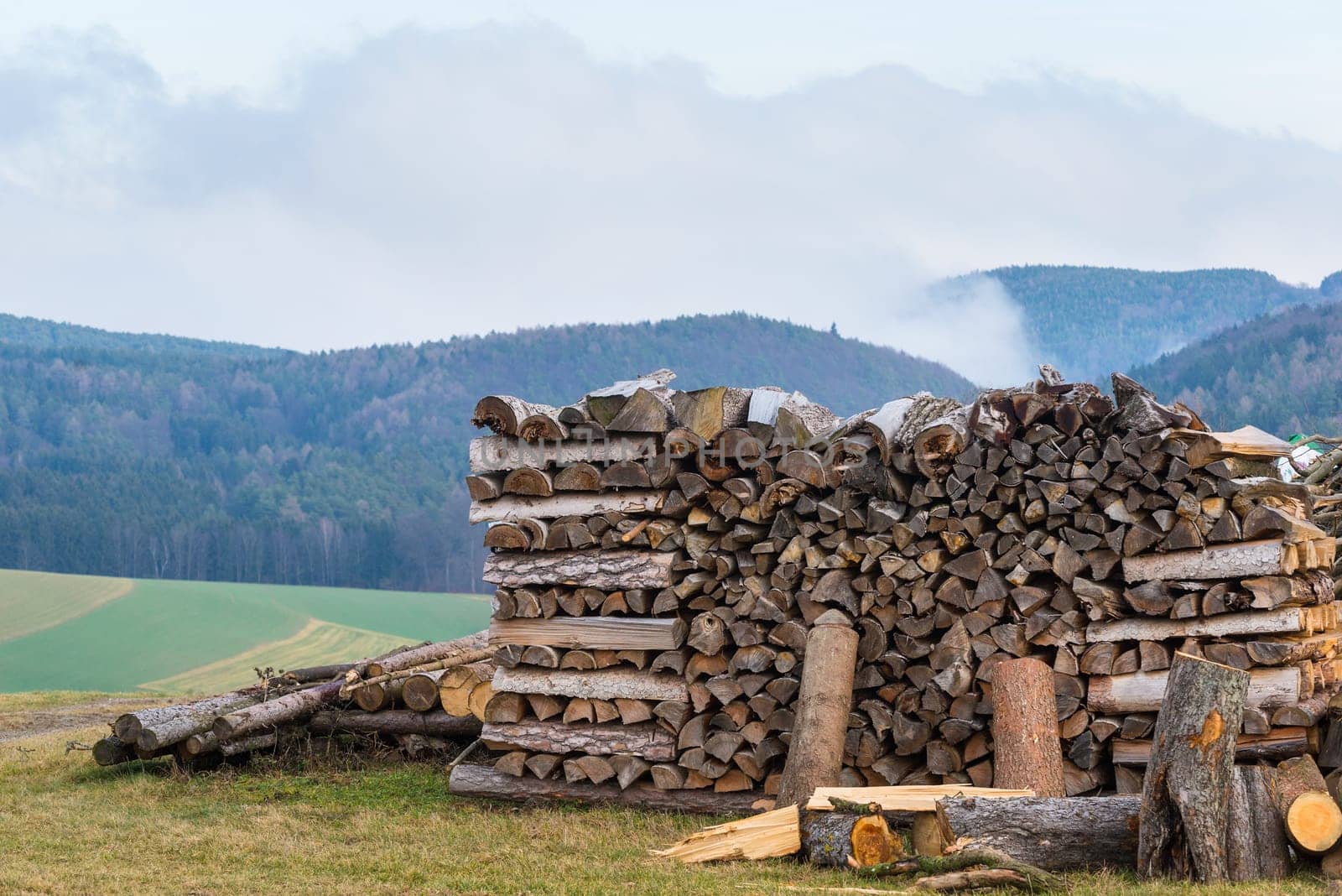 Chopped tree logs stacked on a field with copyspace. Rustic nature landscape with stumps of firewood in a lumberyard. Collecting dry timber and split hardwood material for agriculture and forestry