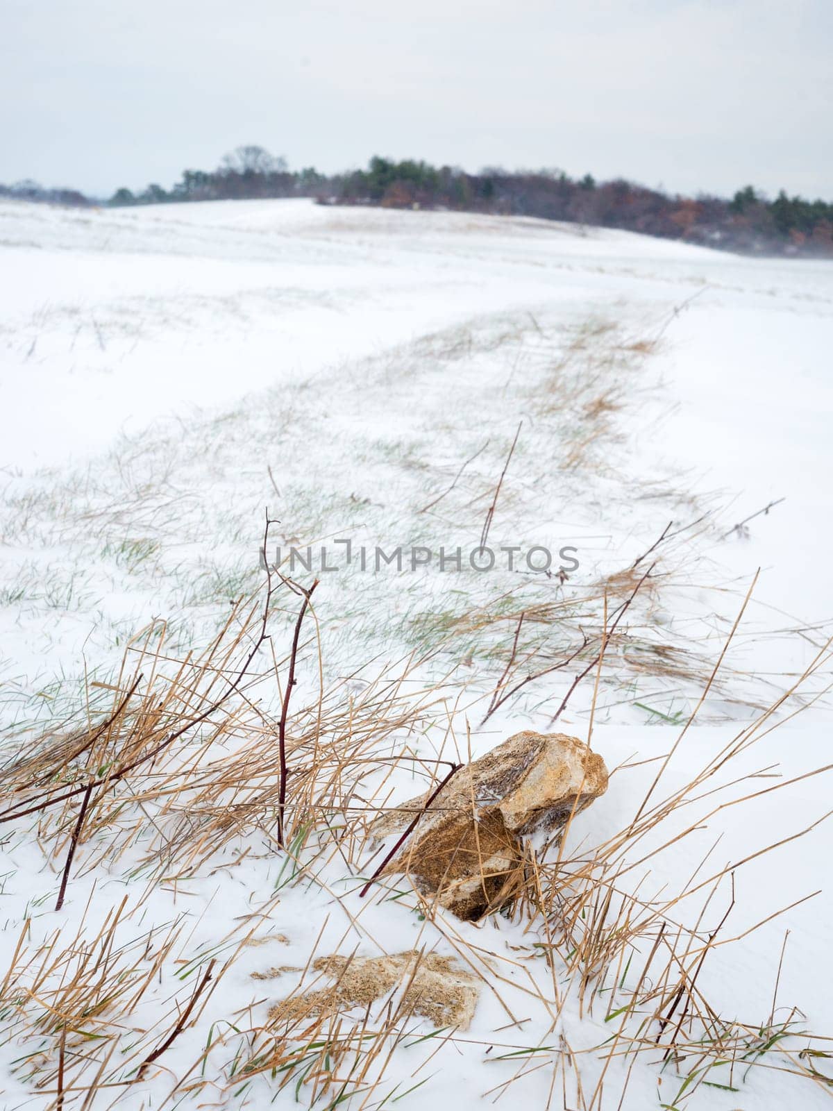 Winter snowfield in burgenland