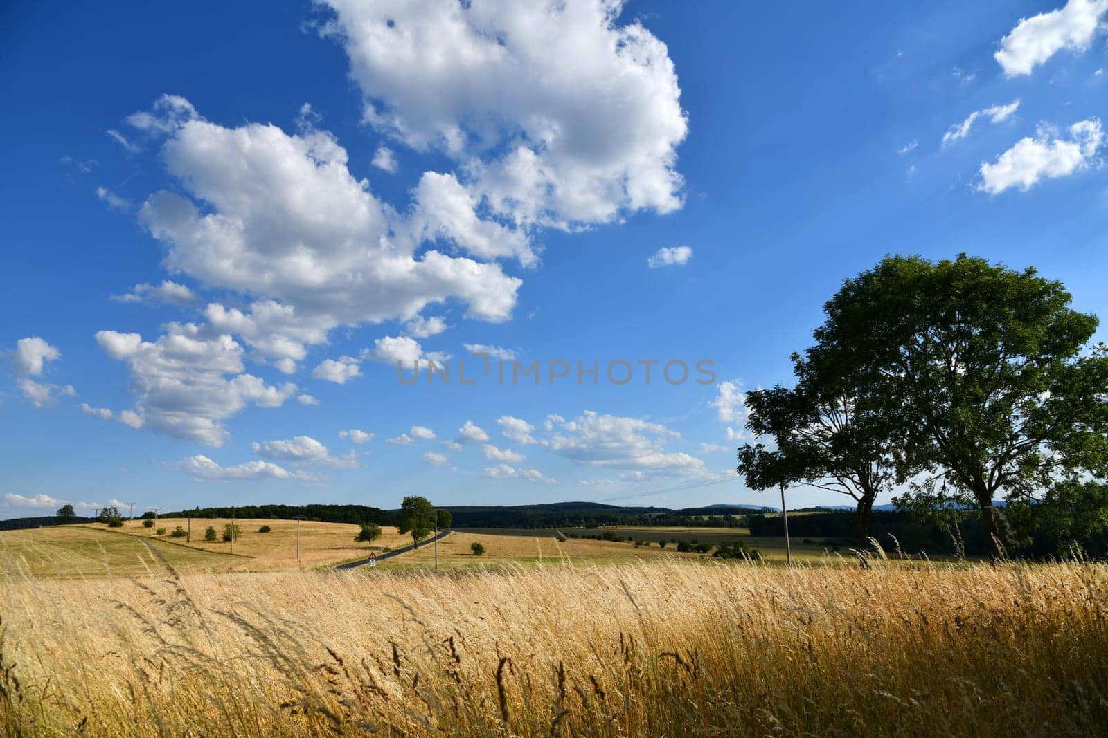 Meadow and fields in high summer temperatures