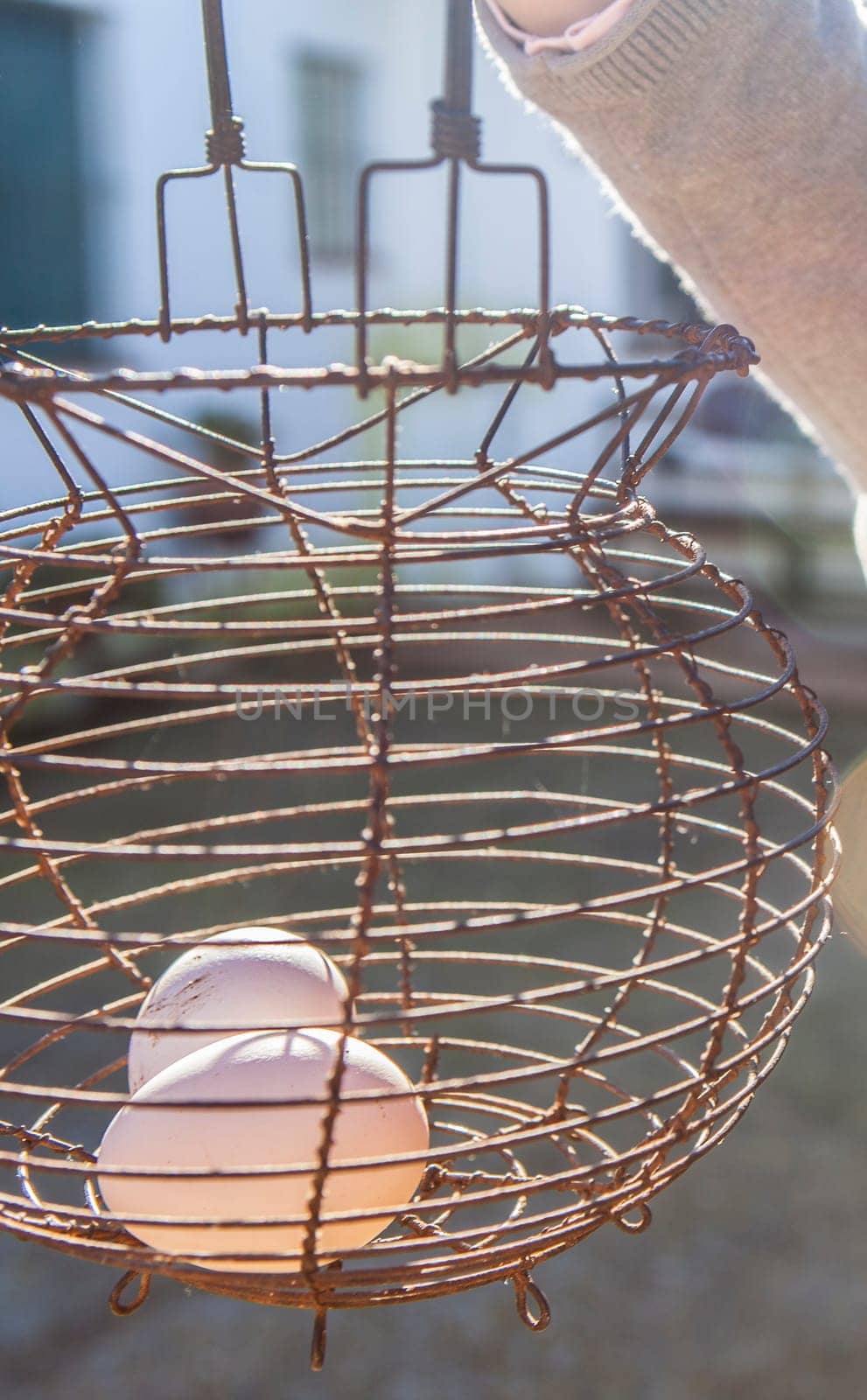 Child girl holds a rusty wire egg cup. Country style. Selective focus