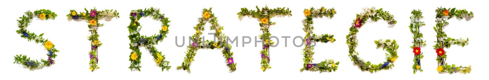 Blooming Flower Letters Building German Word Strategie Means Strategy. Summer And Spring Season Blossoms And Flower Lei.