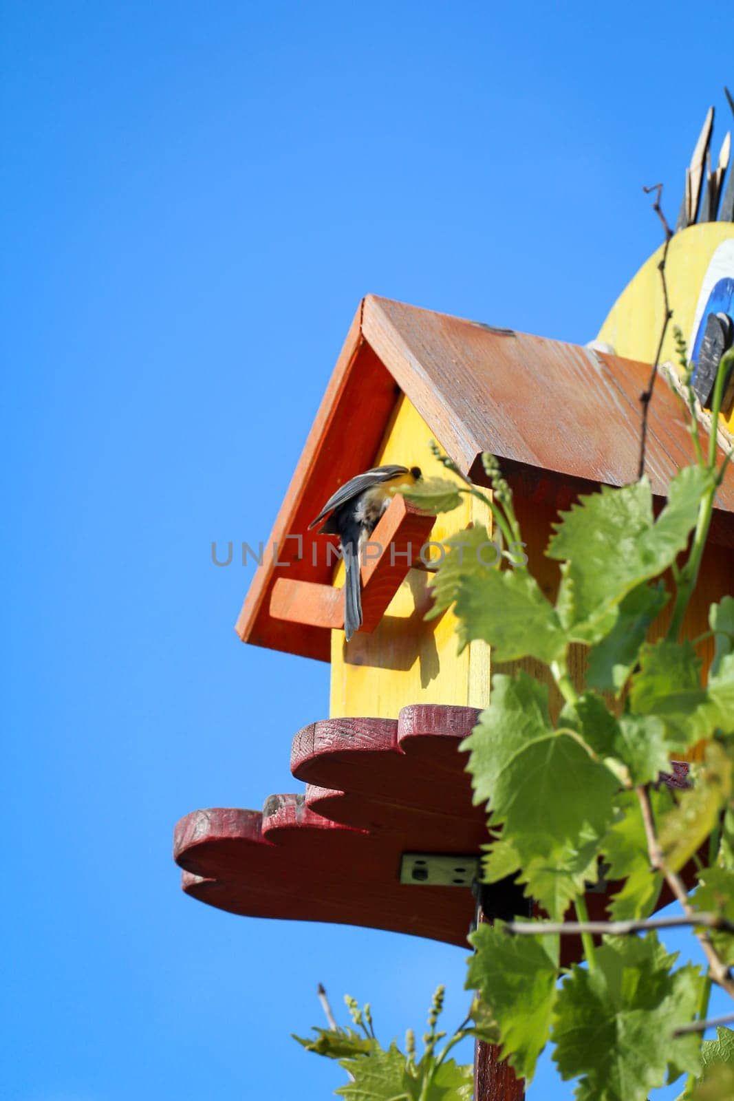 A blue tit brings food to its offspring in a nest box.