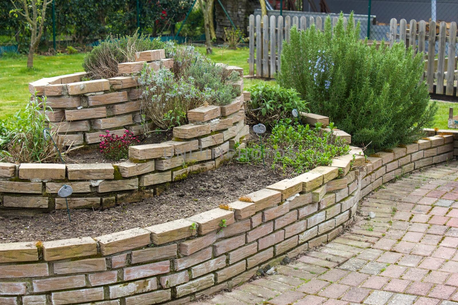herb spiral in the garden with herbs and flowers