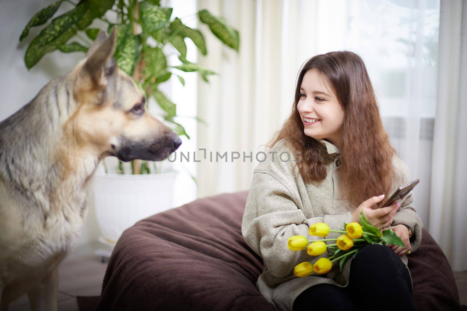 A young girl sits on a couch, smiling at her German Shepherd, with yellow tulips in her hand in a warm and inviting living room.