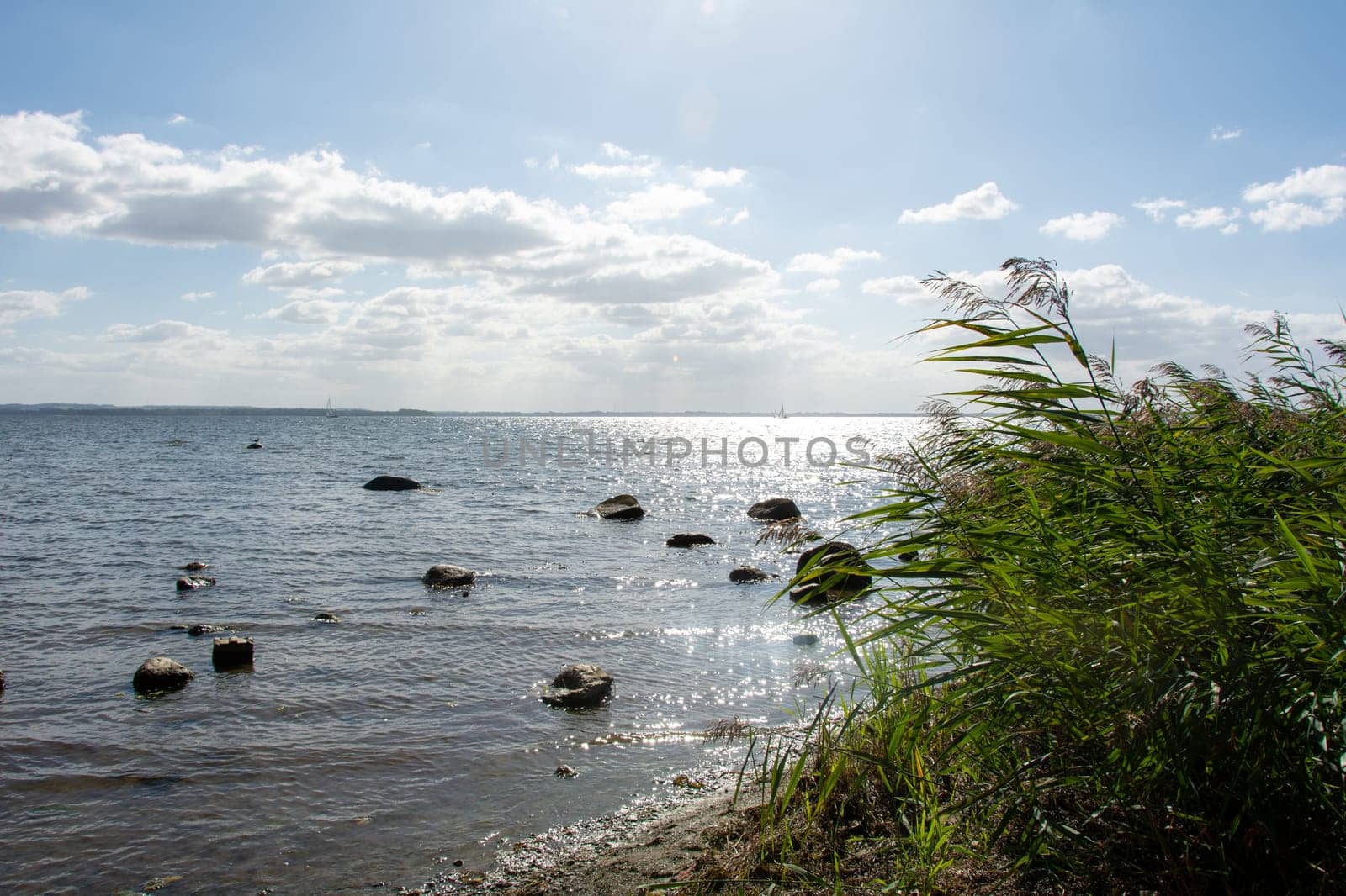 Big stones in the waves on a coast with green grass on a sunny day