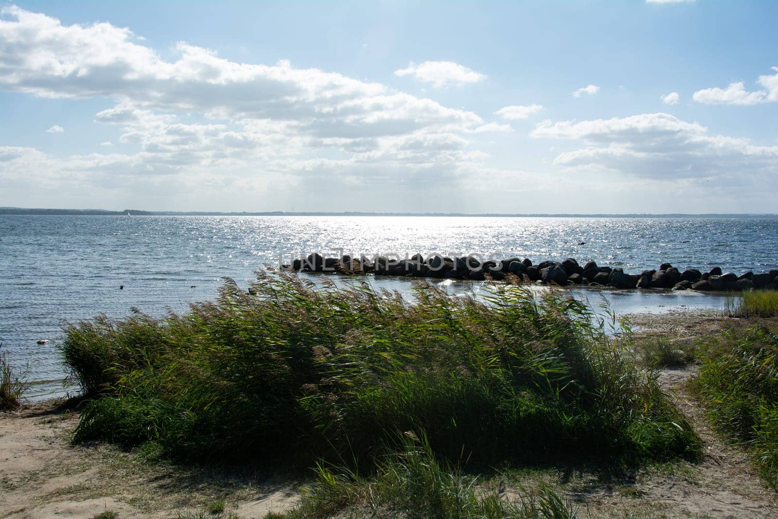Breakwater made of large stones in the water and green grass on the Baltic Sea coast, with green grass on the beach on the island of Poel, Germany, Europe