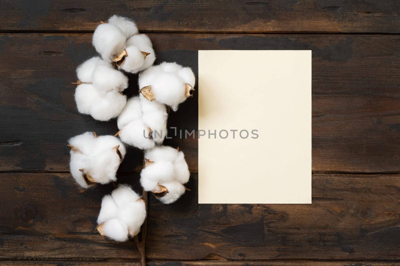 Blank paper card with cotton flowers top view on dark brown wood, mockup. Romantic scene with wedding menu or invitation card. Bohemian pastel greeting or wedding vertical card