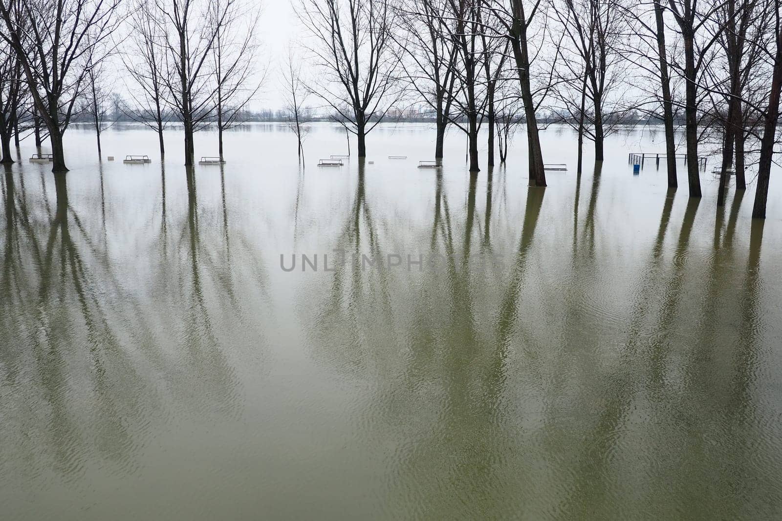 Sremska Mitrovica, Serbia 01.27.2023 Flooding on the Sava river. Deluge after rains and melting snow. Still muddy water on the beach. Reflection of tree trunks and branches in the water. Hydrology