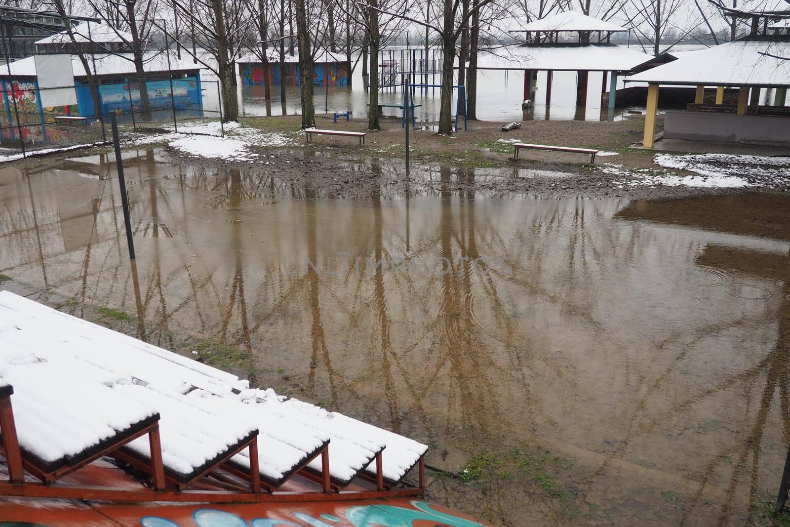 Sremska Mitrovica, Serbia 01.27.2023 Flooding on the Sava river. Deluge after rains and melting snow. Still muddy water on the beach. Reflection of tree trunks and branches in the water. Hydrology