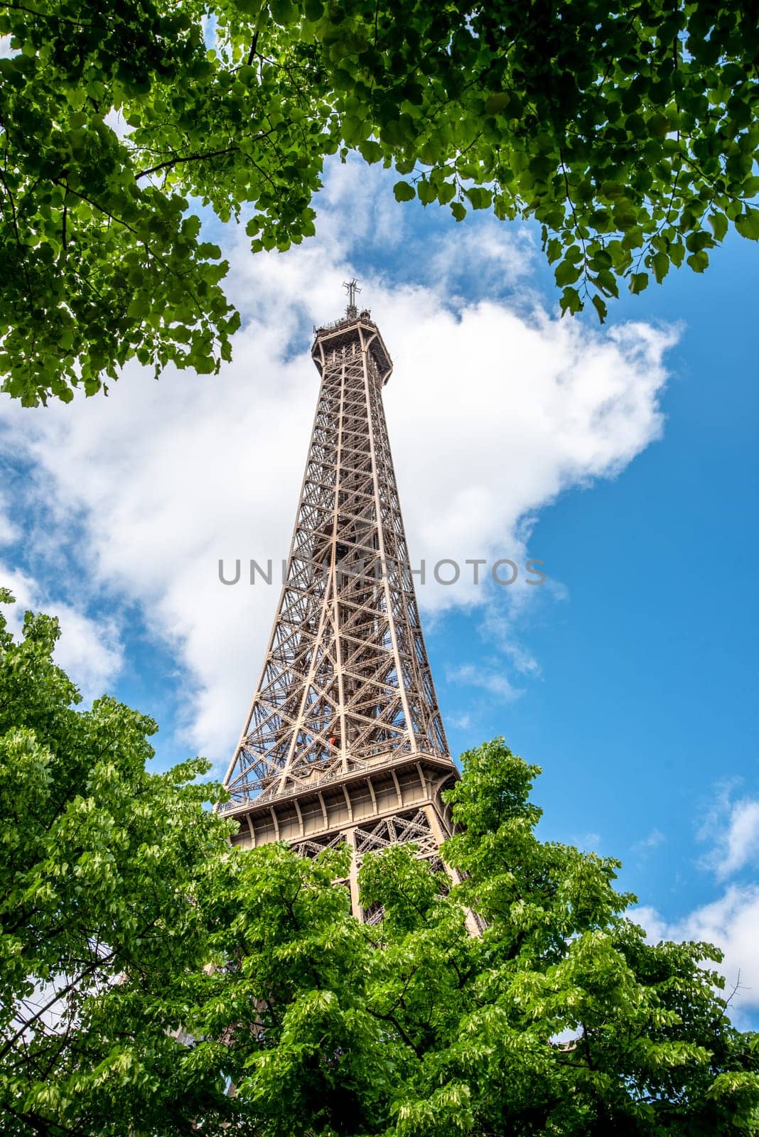 View of the Eiffel Tower in Summer, Paris, France