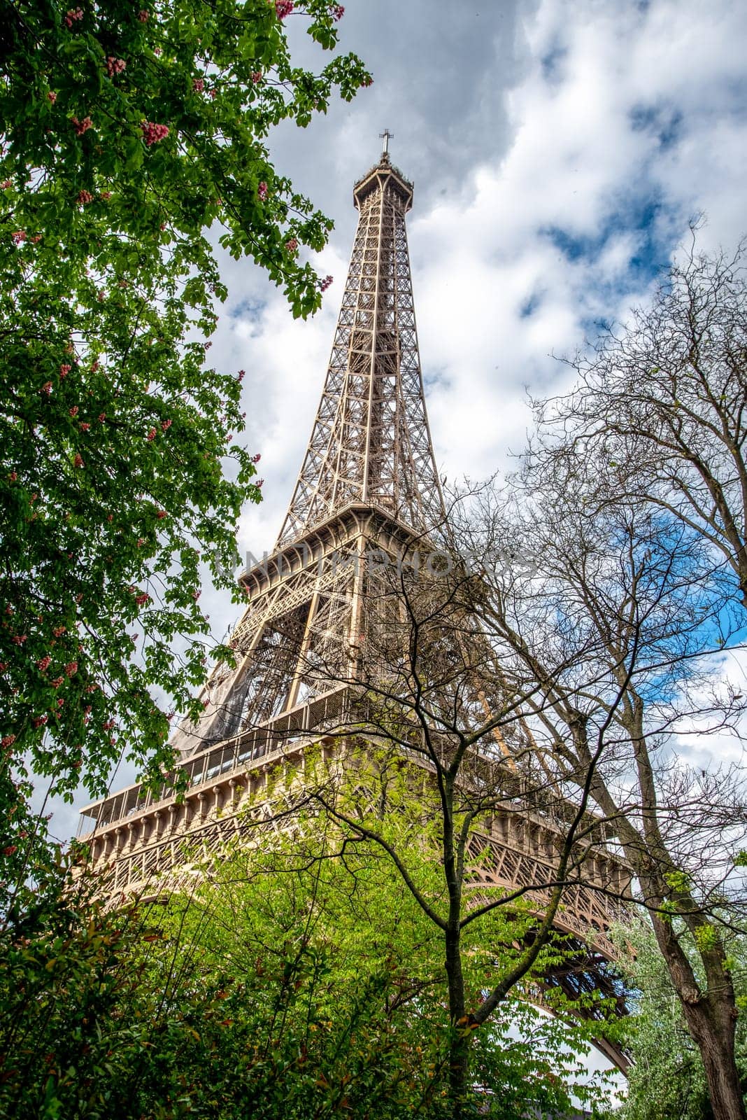 View of the Eiffel Tower in Summer, Paris, France