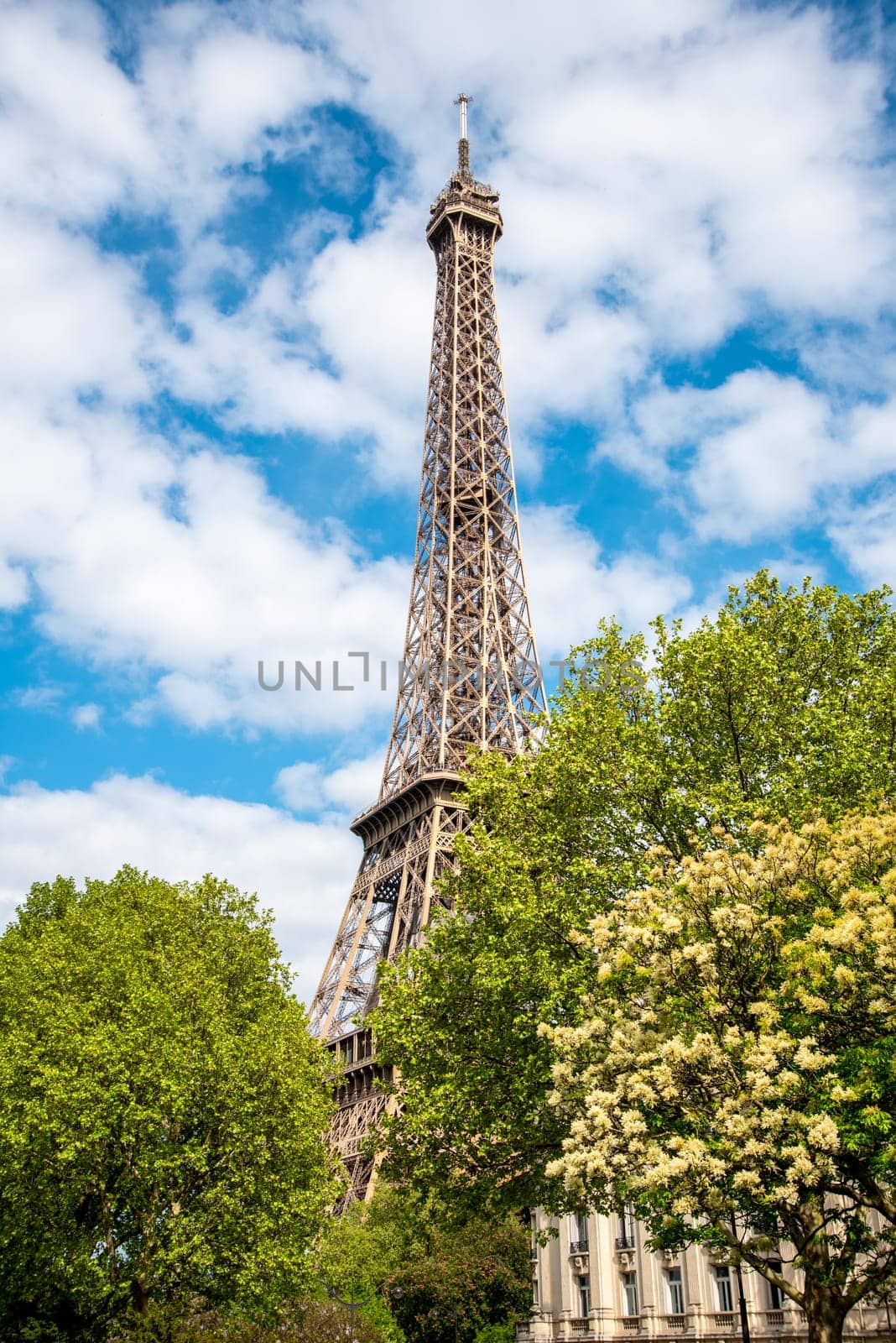 View of the Eiffel Tower in Summer, Paris, France