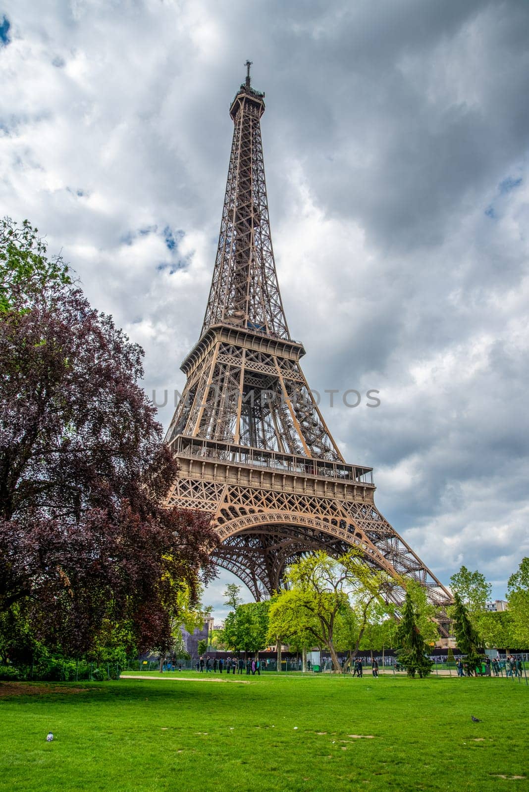 View of the Eiffel Tower in Summer, Paris, France