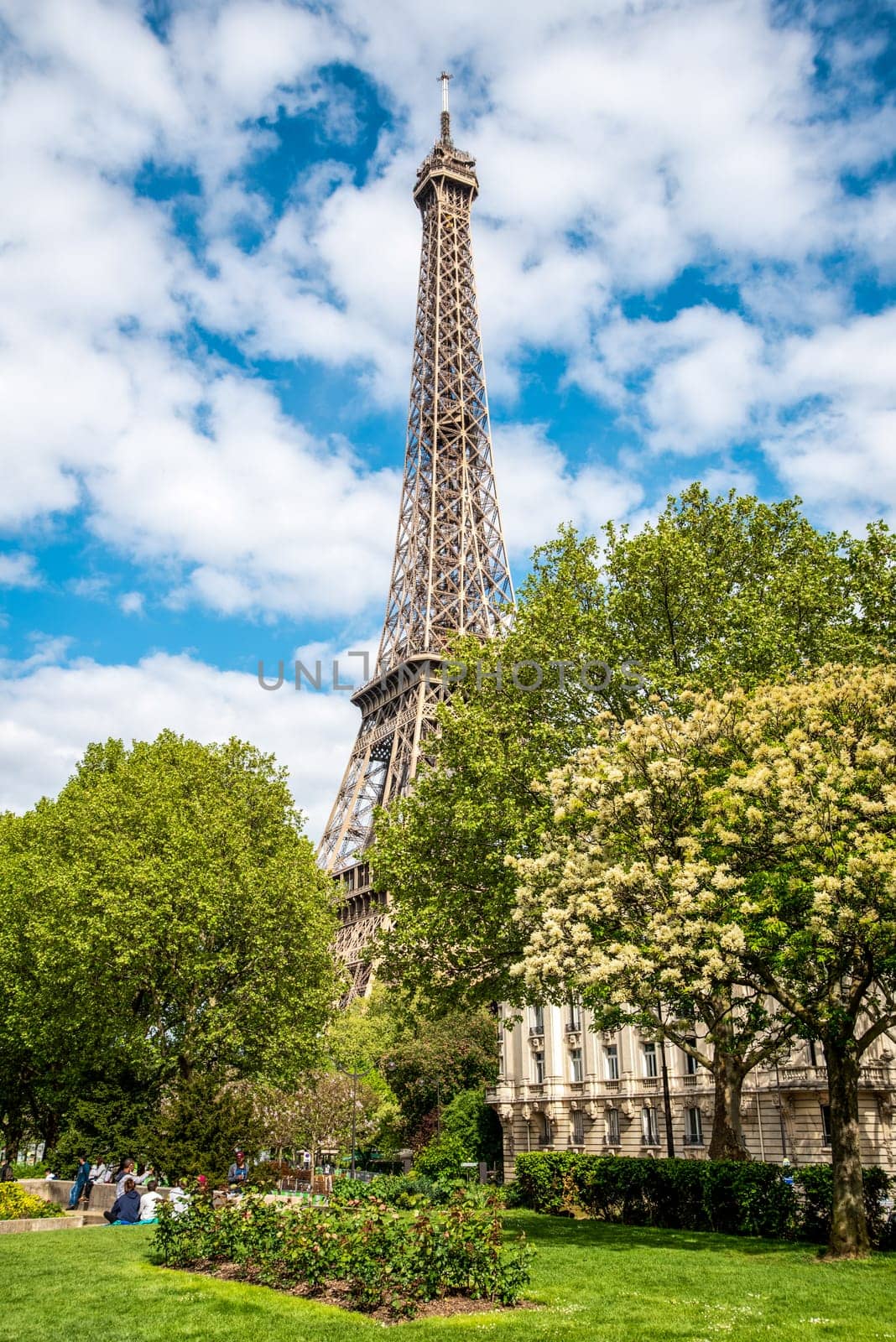 View of the Eiffel Tower in Summer, Paris, France