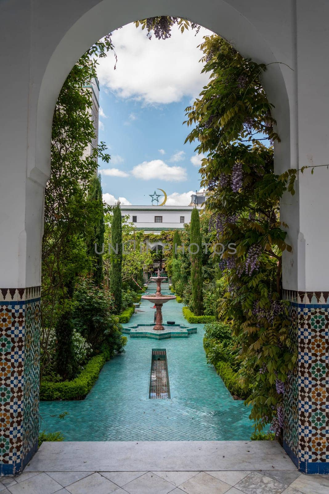 Beautiful vegetated court in the Grande Mosquee de Paris, France