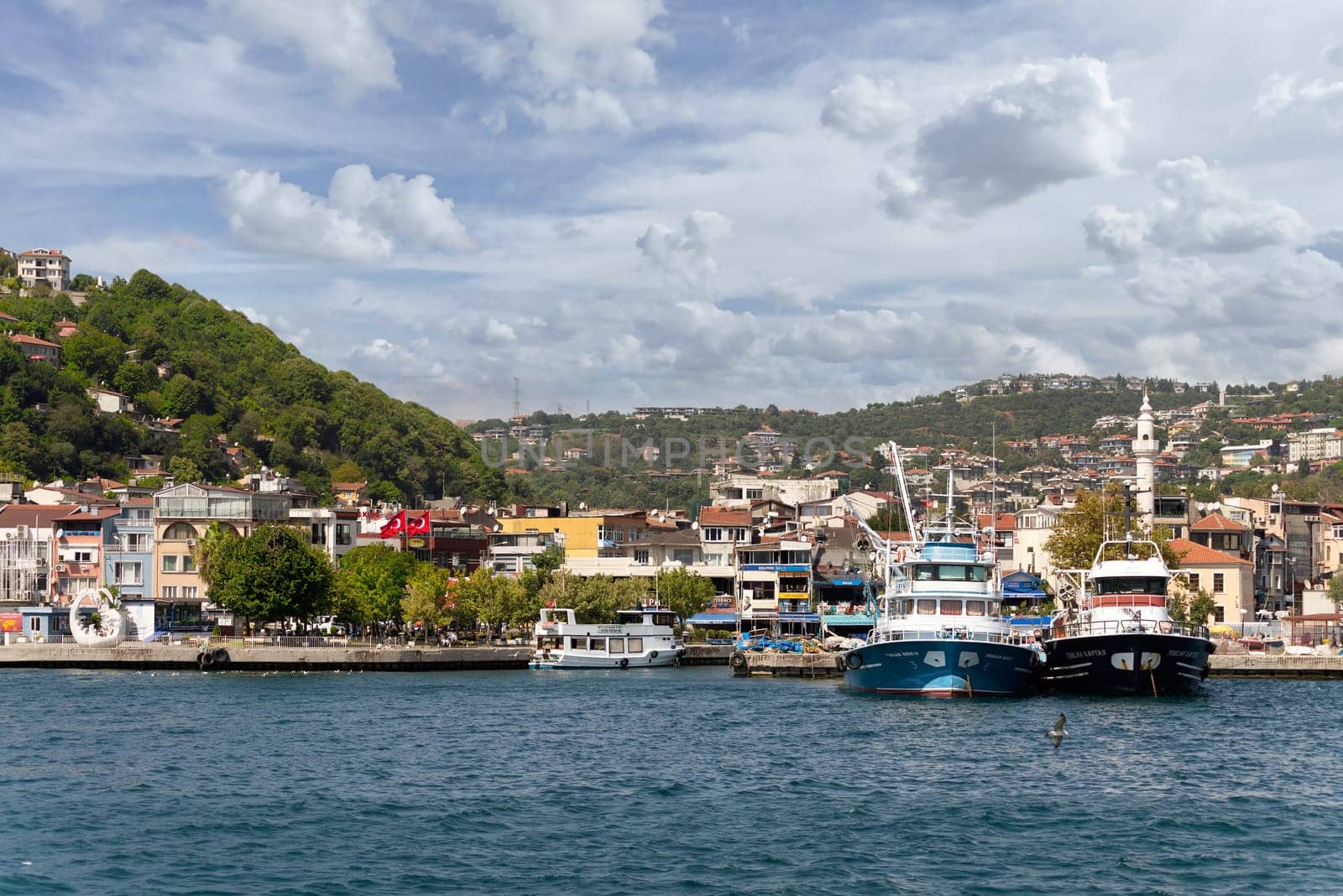 View from the sea of the green mountains of the Europian side of Bosphorus strait, with docked boats, traditional houses and dense trees in a summer day, Istanbul, Turkey