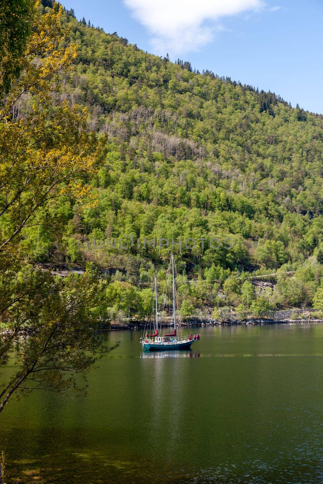 scenic landscapes of the northern Norwegian fjords.