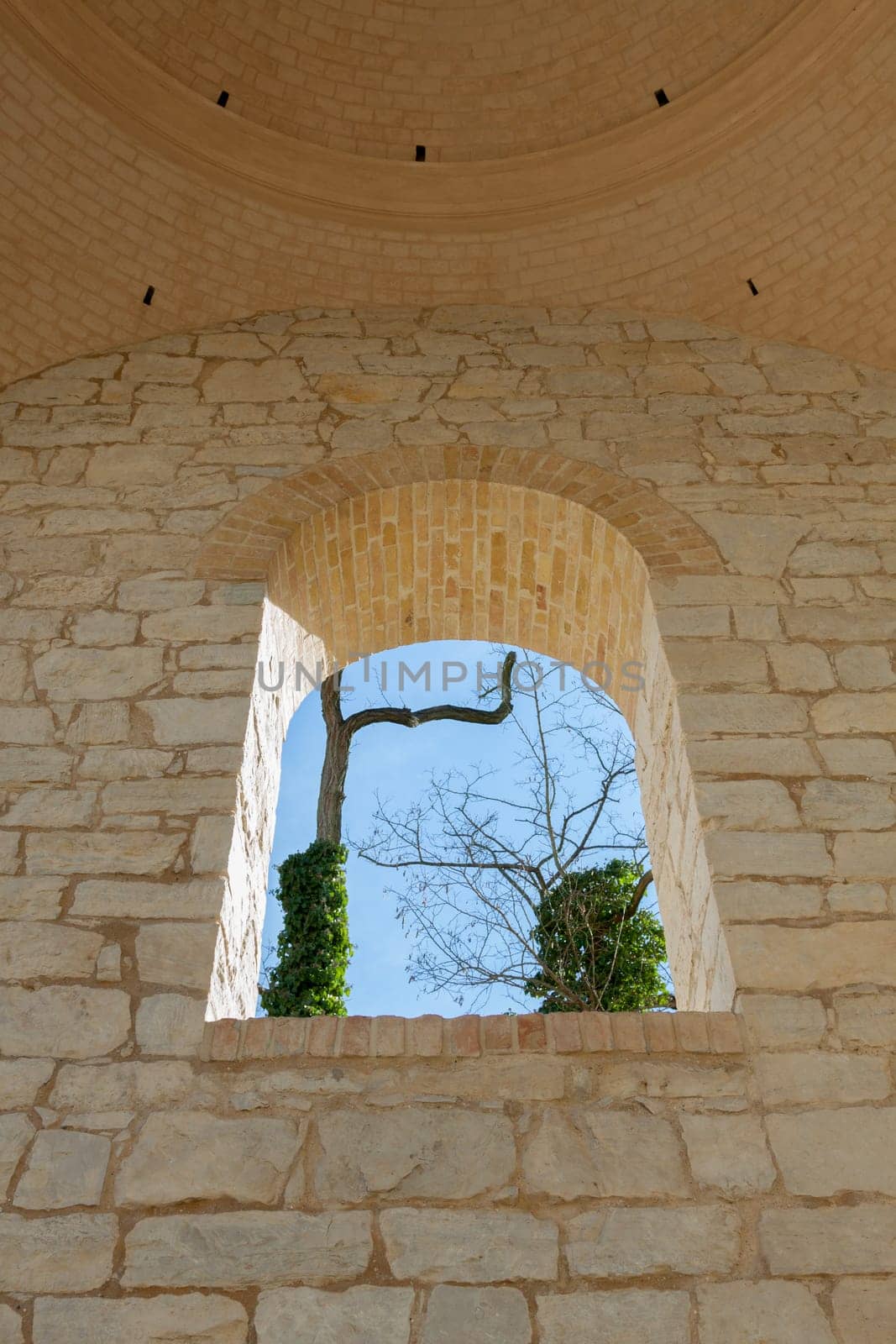 View of a tree through a wall opening