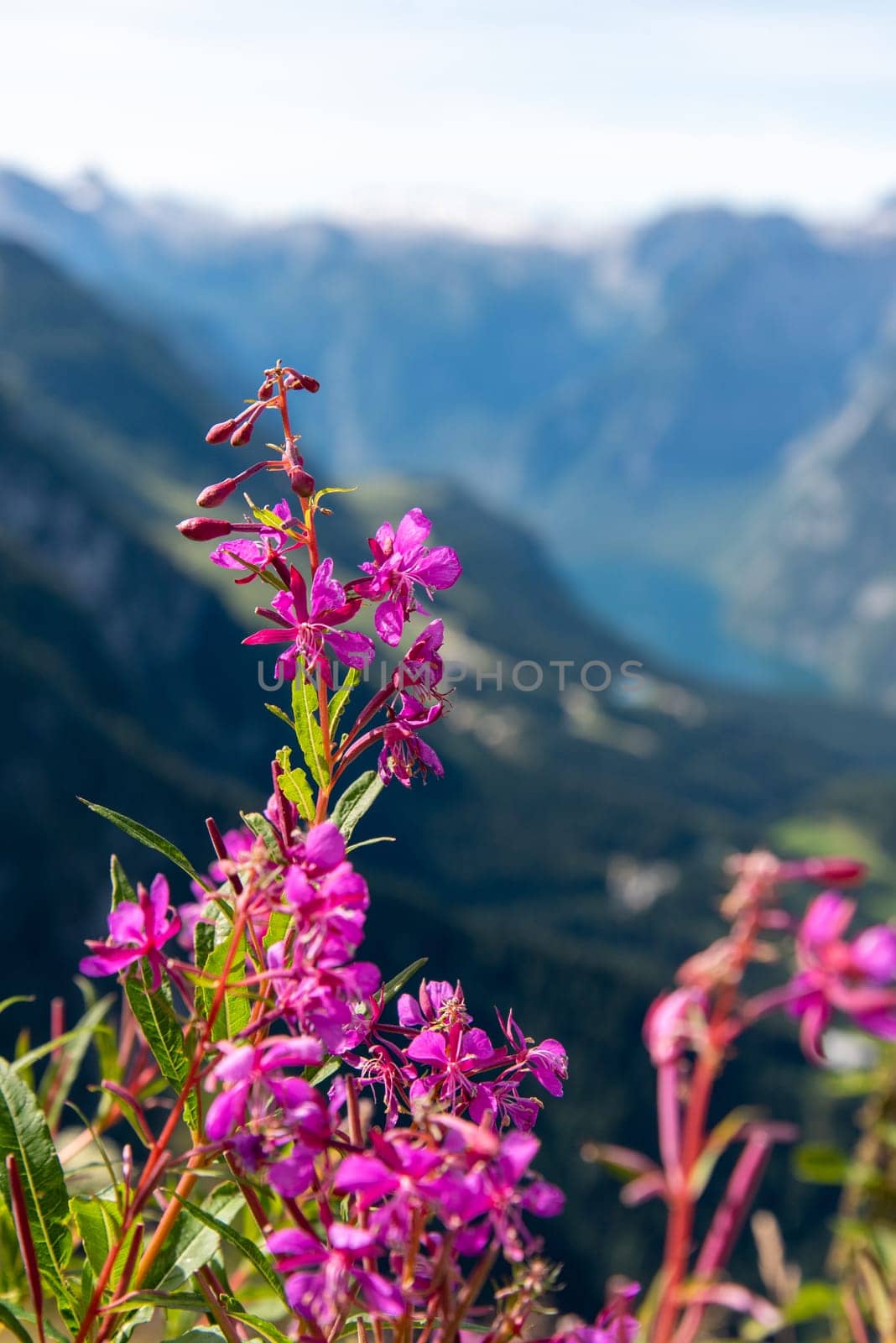 View from the Kehlsteinhaus towards the Alps, Obersalzberg, Berchtesgarden, Germany