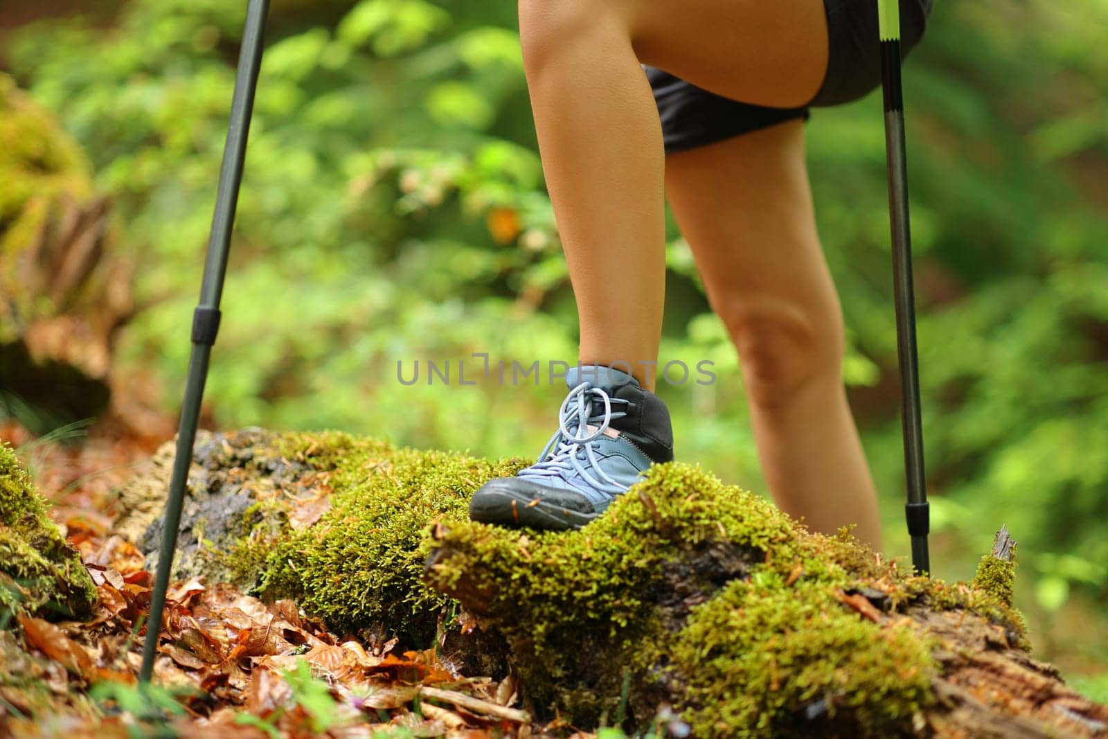 Hiker legs walking in a green forest on summer