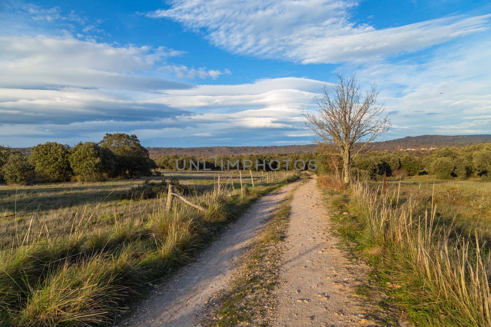 Via de la Plata way (Silver Way) to Santiago in Extremadura. Spain