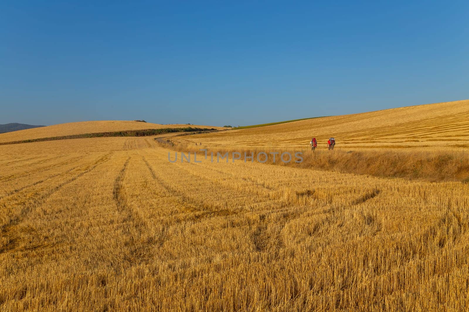 Navarre, Spain, 26 August, 2022: Pilgrims walk along the Camino De Santiago, the Way of St. James pilgrimage route, Navarra, Spain.
