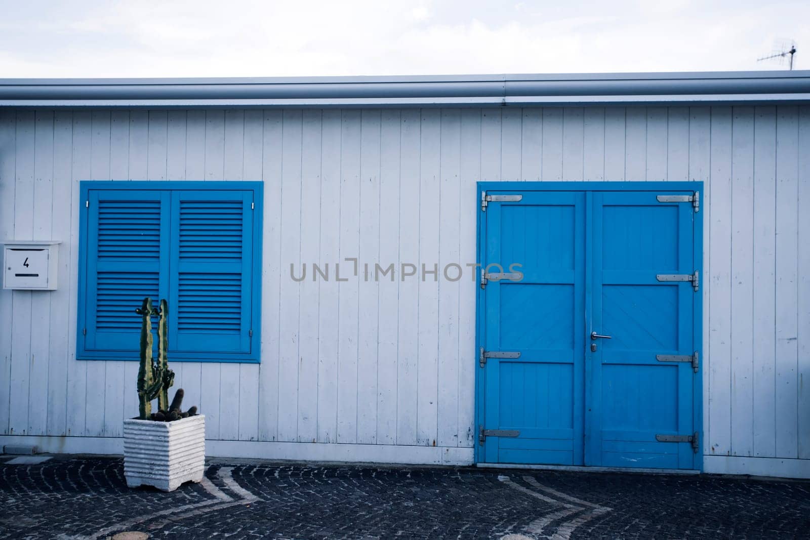 Blue door with cactus and the traditional white walls in the Procida Island, Italy
