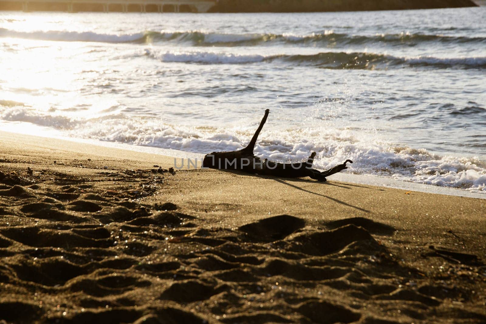 Panoramic beach landscape in magic sunset.
