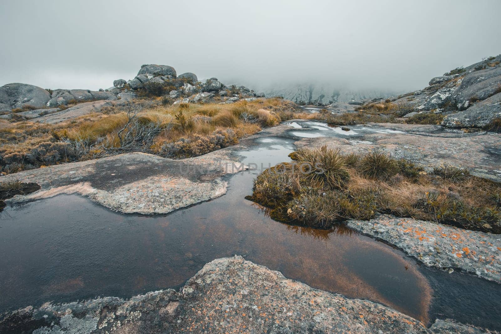 Andringitra national park, Haute Matsiatra region, Madagascar, beautiful mountain landscape, trail to high peak in mist and fog. Hiking in Andringitra mountains. Madagascar wilderness landscape.