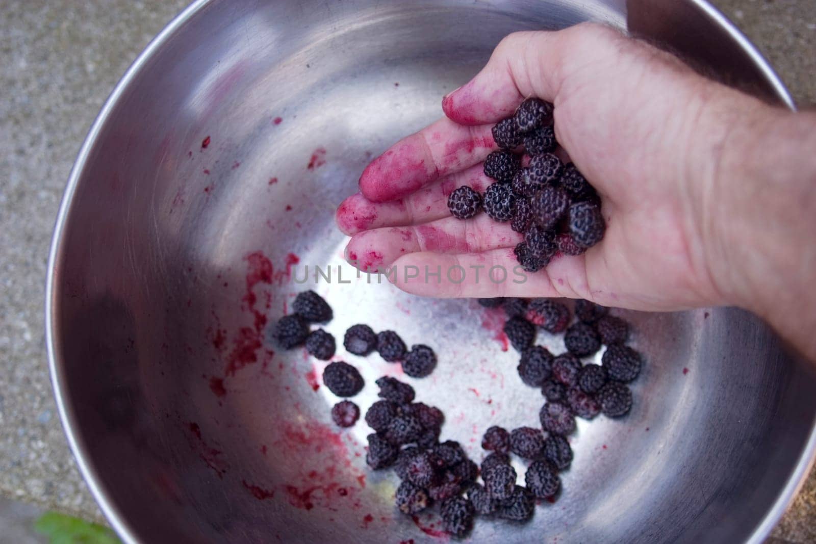 black raspberrys