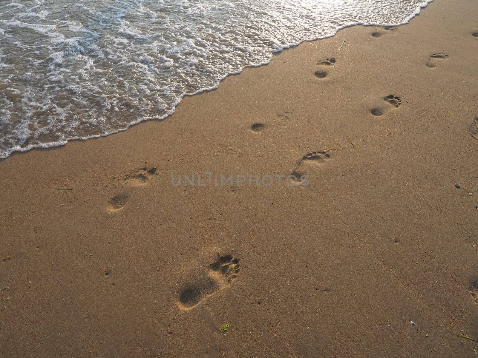 Footprints of human feet on the sand near the water on the sand beach at resort. Quartz sand at sunset. The reflection of low sun rays on the wave. Freedom, relaxation and pleasure on vacation.