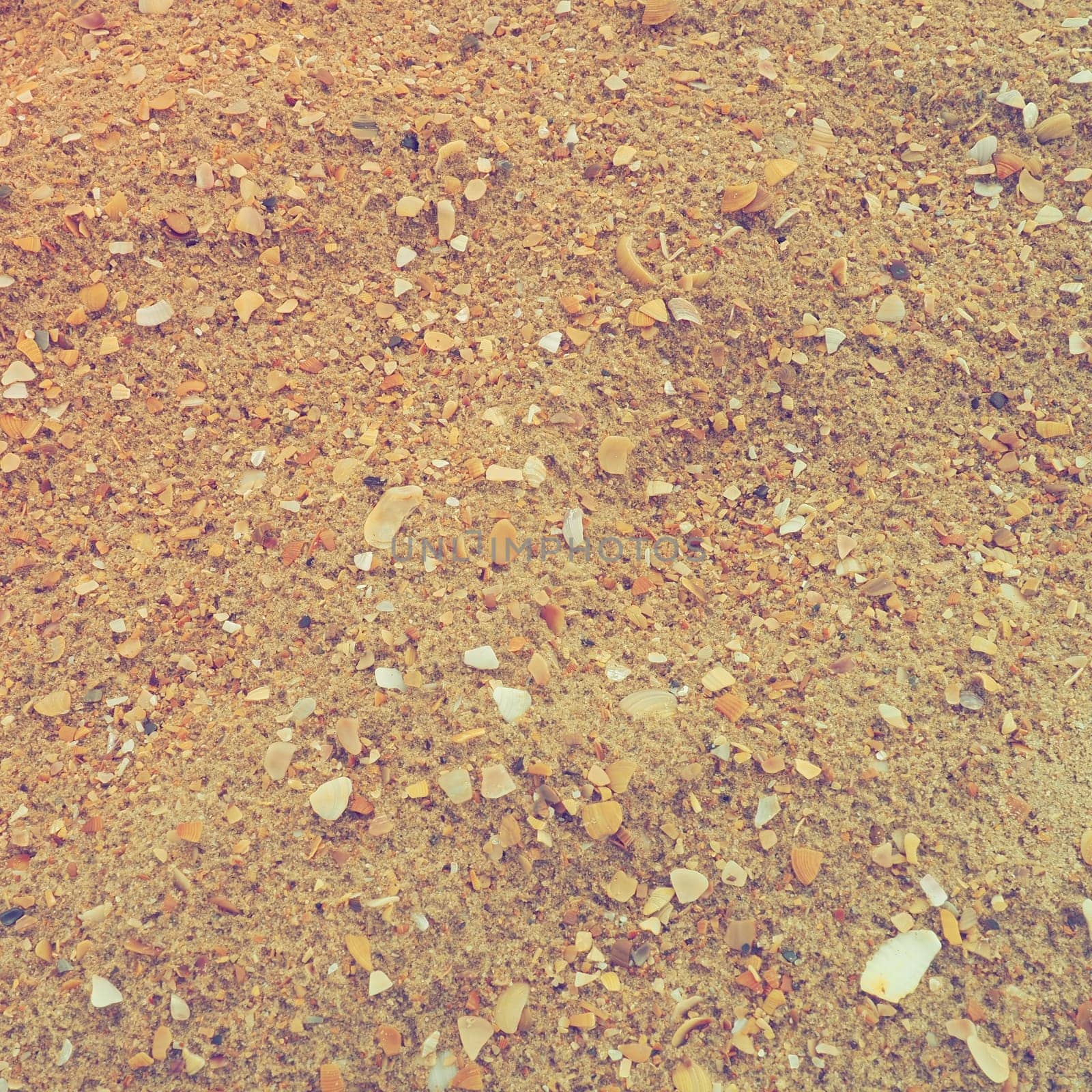 Sand with seashells background. Wet coarse quartz sand. Broken seashells. Beach after heavy rain. Silica. Crushed quartz sand, natural brown material after a storm. Dents from drops in the sand. Anapa.