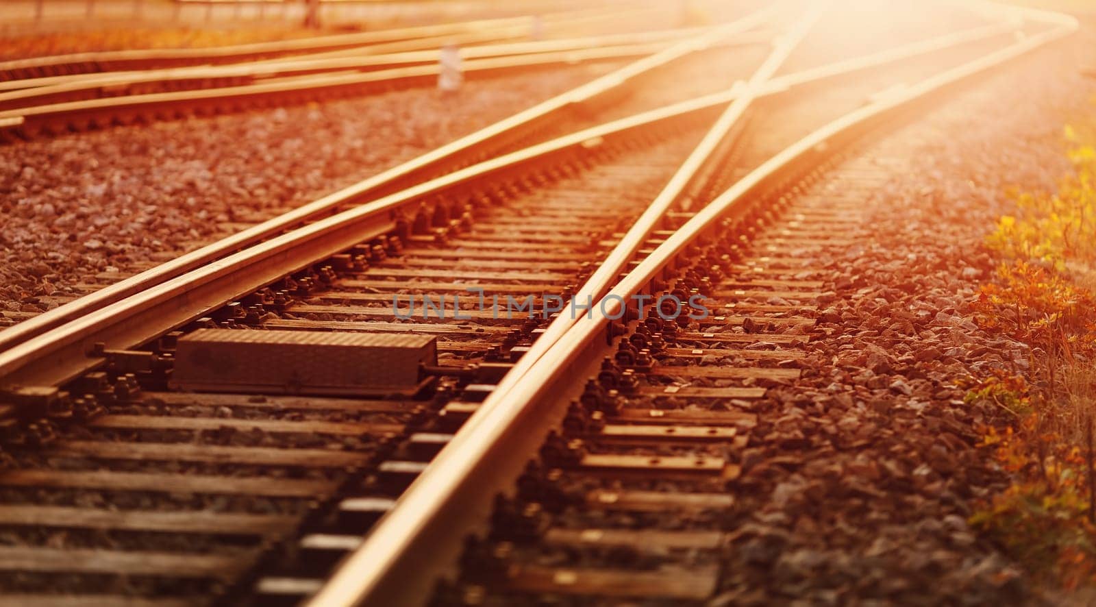 View of the crossing railway in sunset in summer. Concept of logistic and transportation.