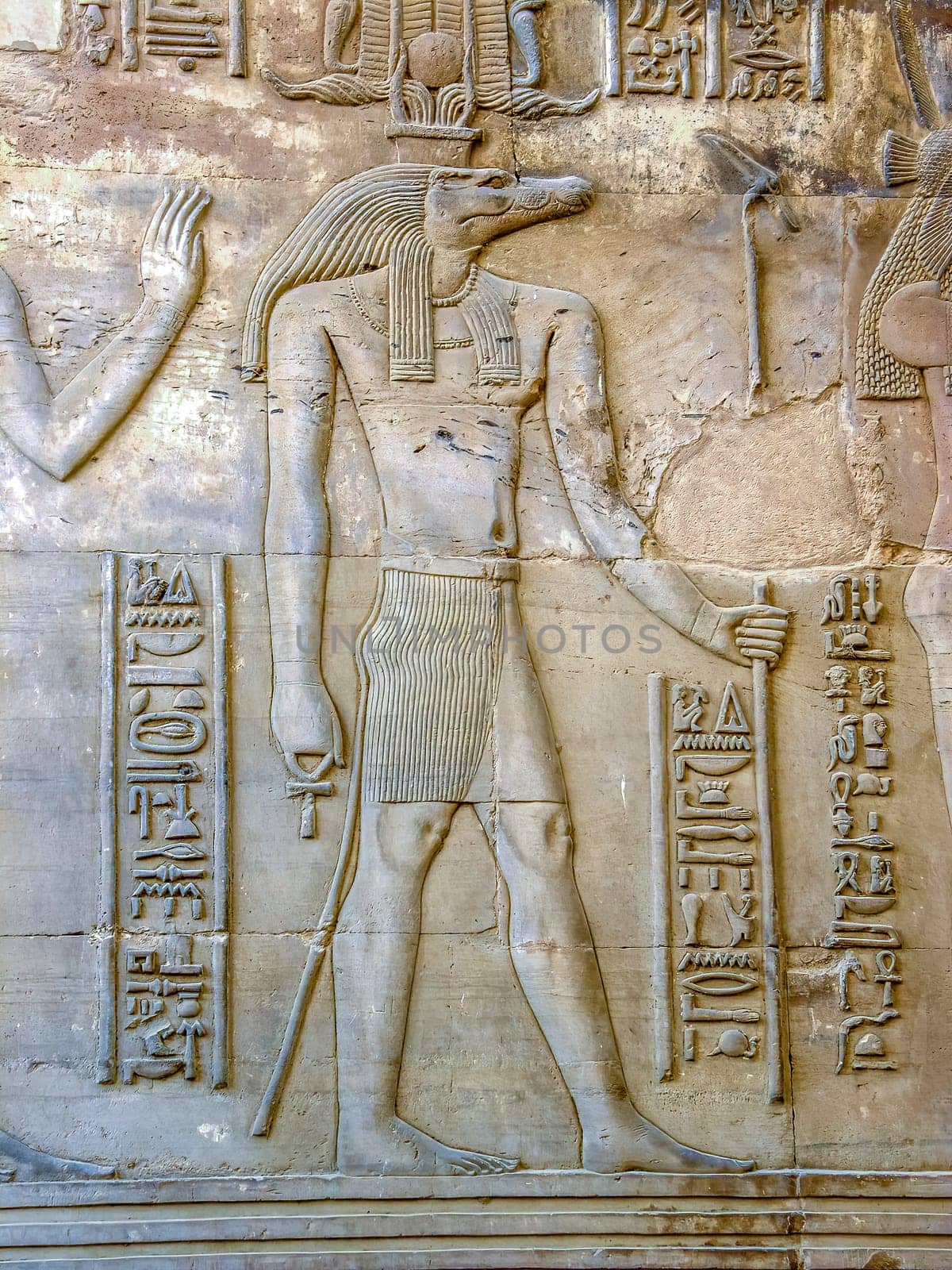 Crocodile head depicting an ancient Egyptian mythological god carved on wall of Kom Ombo temple near Aswan. A village of enormous archaeological significance beside the Nile River in southern Egypt.