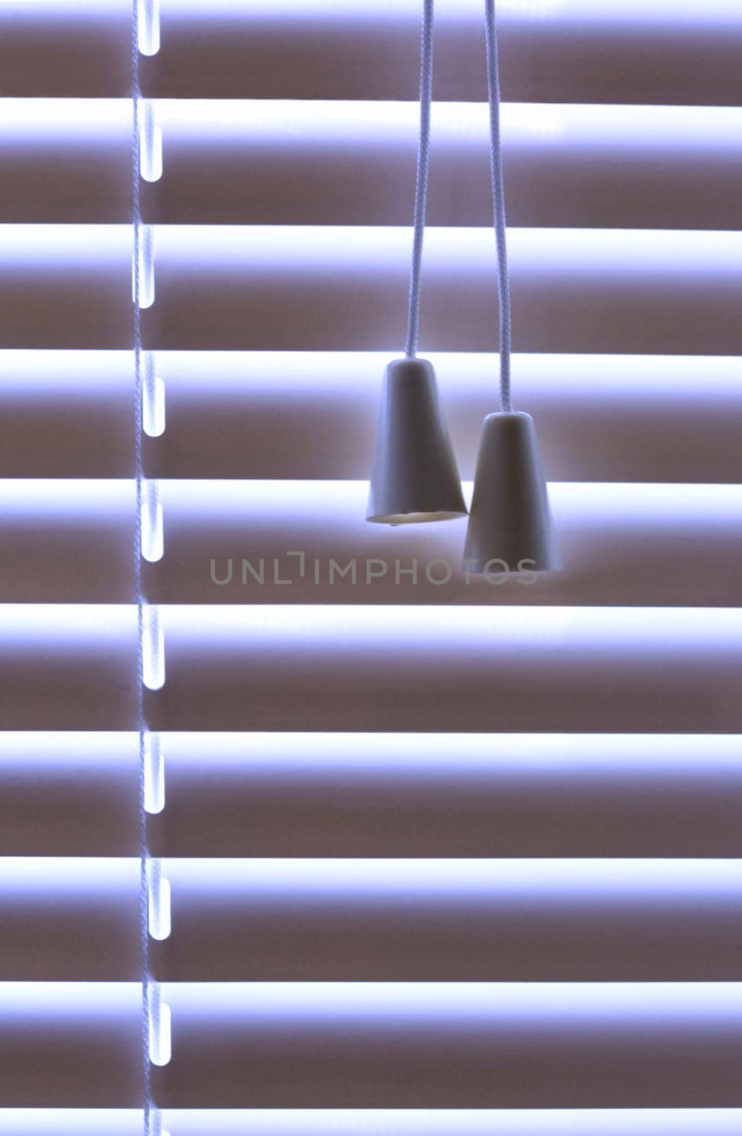 Venetian Blinds