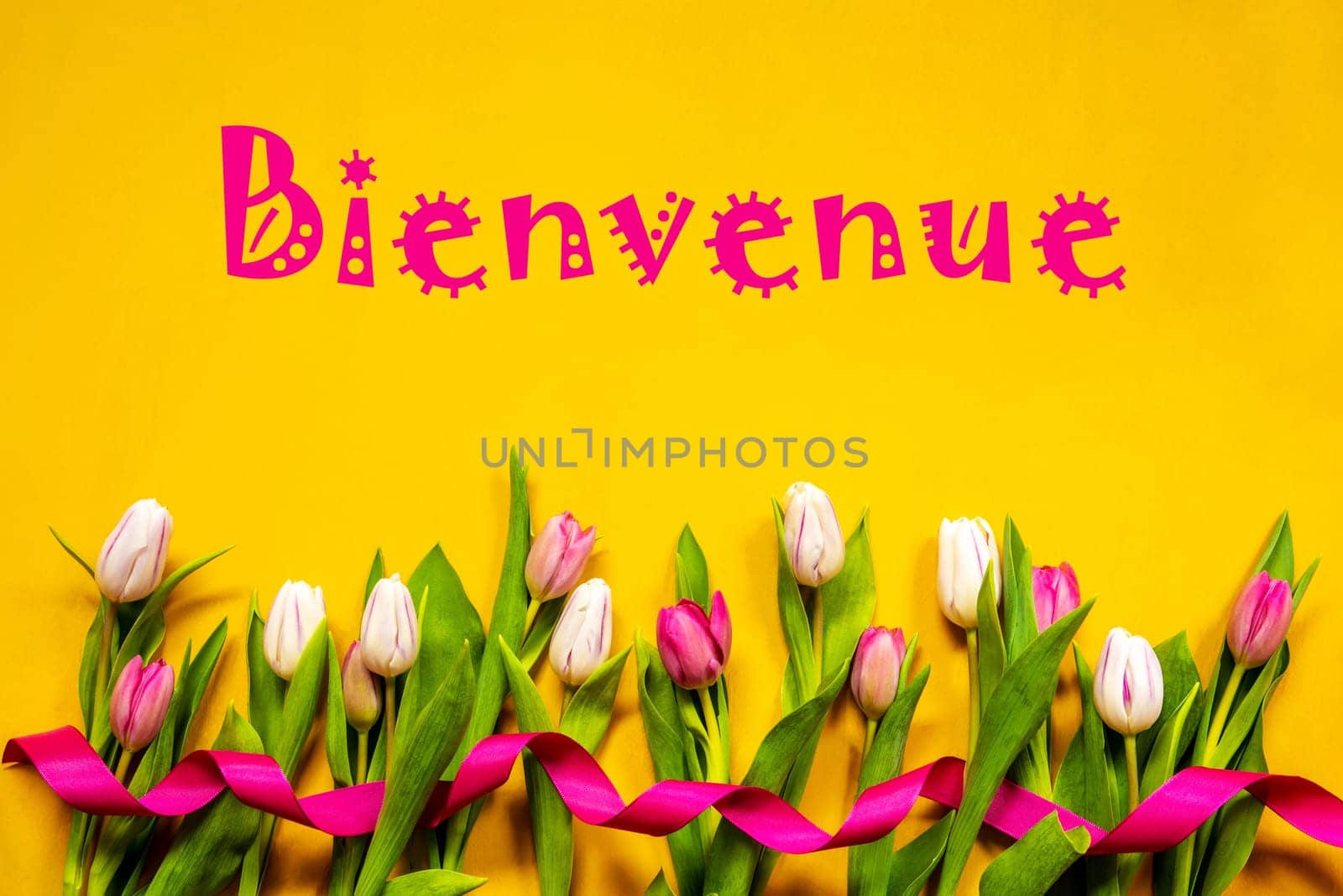 French Text Bienvenue Means Welcome. White And Pink Tulip Spring Flowers With Ribbon. Yellow Wooden Background