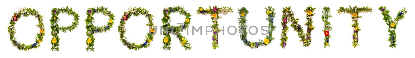 Blooming Flower Letters Building English Word Opportunity. Summer And Spring Season Blossoms And Flower Lei.