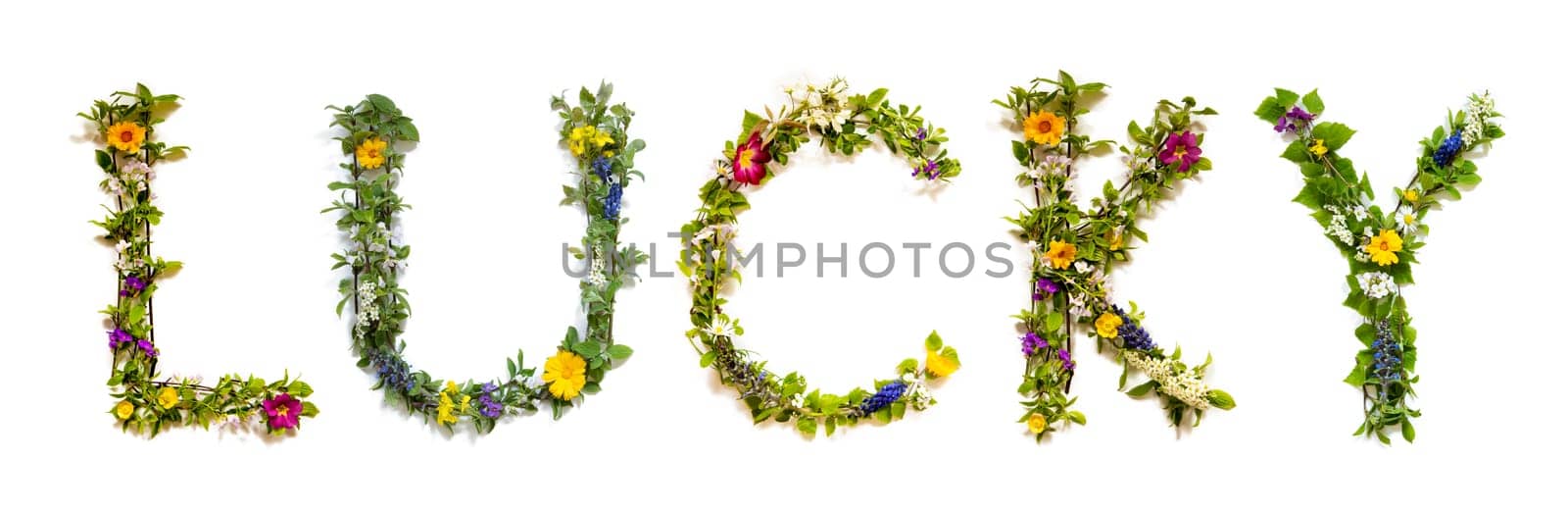 Blooming Flower Letters Building English Word Lucky. Summer And Spring Season Blossoms And Flower Lei.