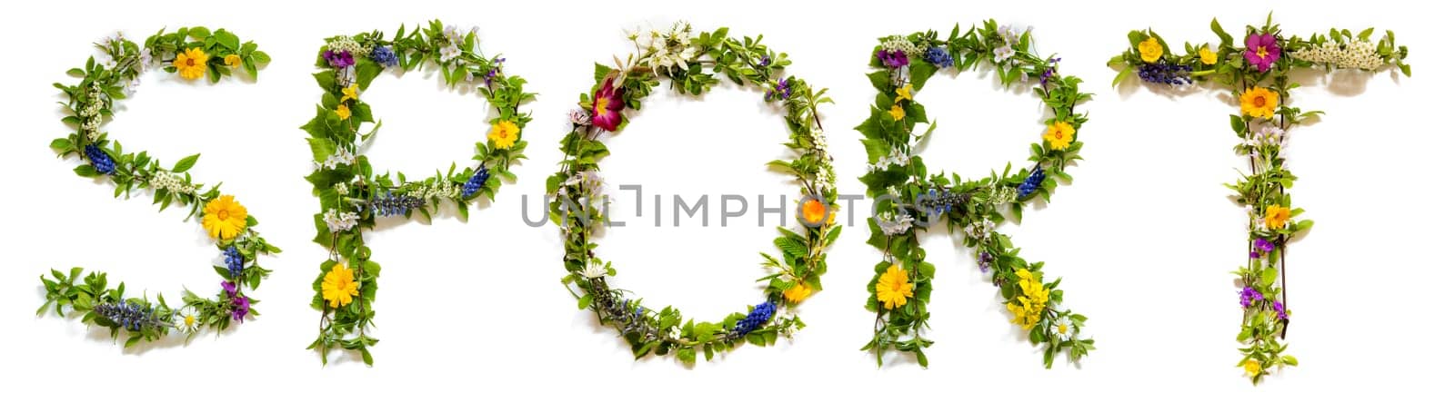 Blooming Flower Letters Building English Word Sport. Summer And Spring Season Blossoms And Flower Lei.